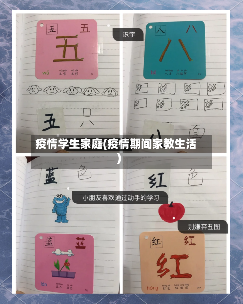 疫情学生家庭(疫情期间家教生活)