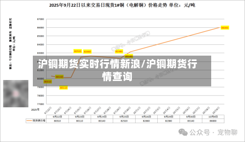 沪铜期货实时行情新浪/沪铜期货行情查询-第2张图片