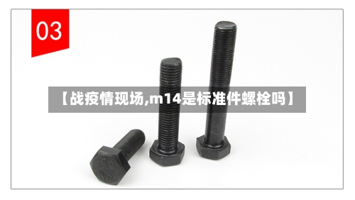 【战疫情现场,m14是标准件螺栓吗】