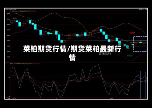 菜柏期货行情/期货菜粕最新行情-第3张图片