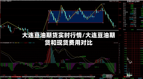 大连豆油期货实时行情/大连豆油期货和现货费用对比