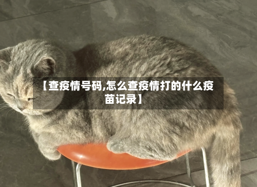 【查疫情号码,怎么查疫情打的什么疫苗记录】
