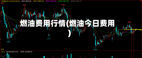 燃油费用行情(燃油今日费用)
